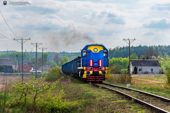 TEM2-246